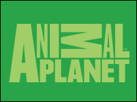 Logo: Animal Planet