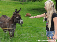 Foto: ProSieben